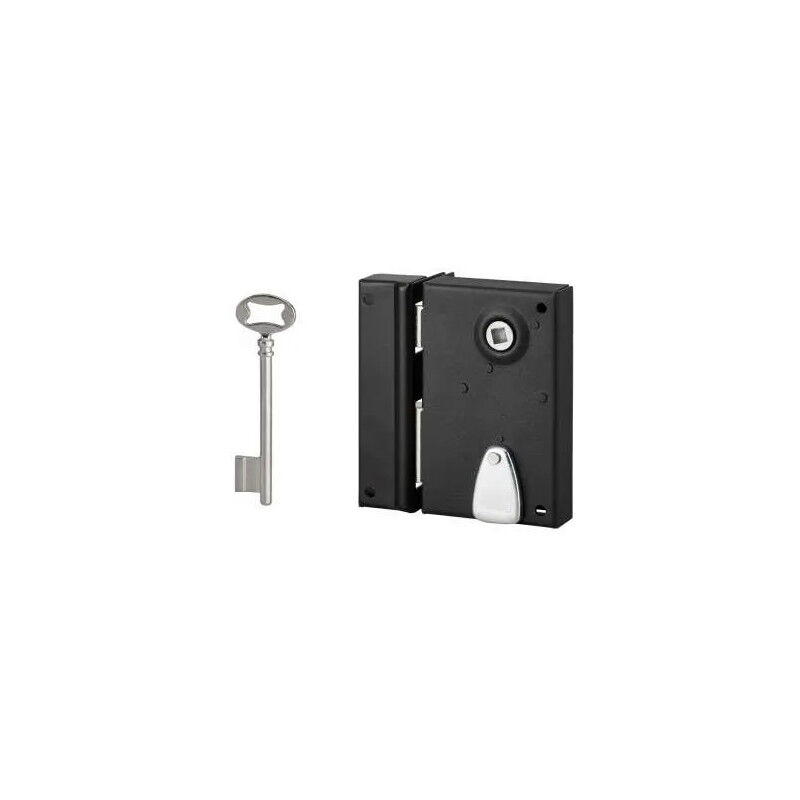 

Thirard - Cerradura de embutir vertical, cerrojo, 1/2 vuelta, 70x110, izquierda, 1 llave