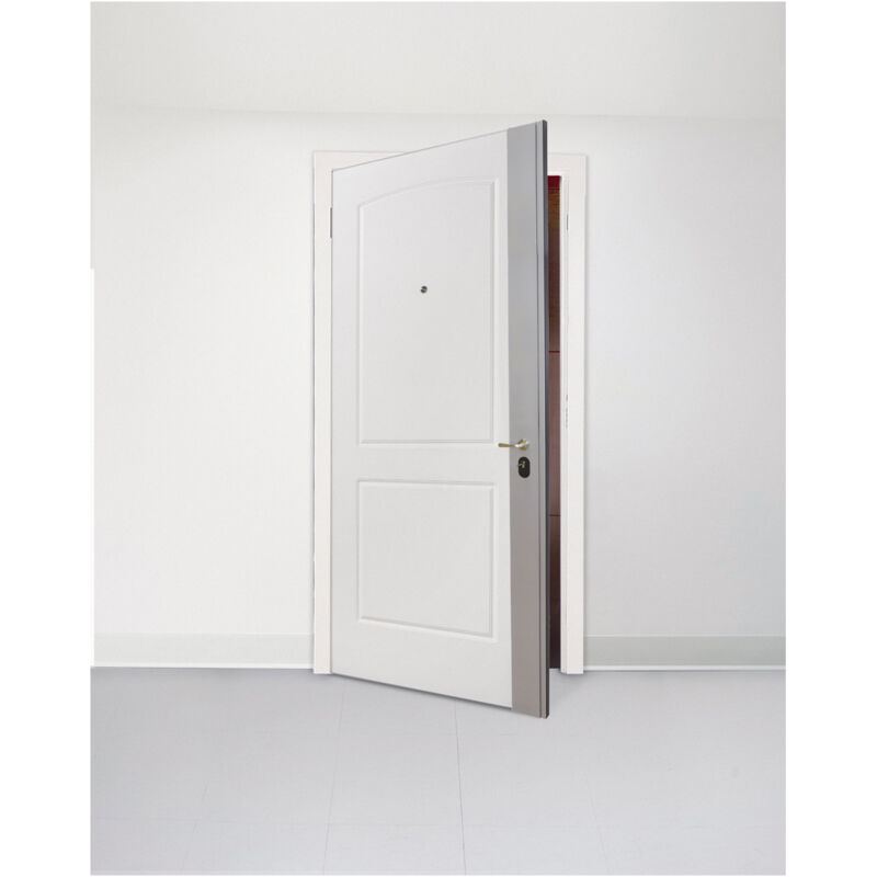 

Cerradura Tesa Seguridad Sobrep.R/M750 Multifort Rever.40/60 Plata - Esmaltado Plata