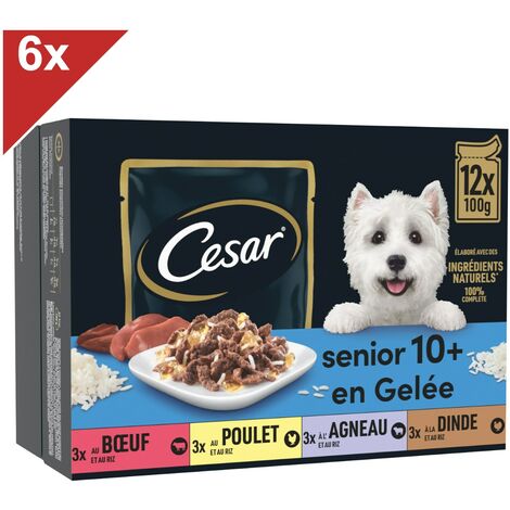 main image of "CESAR 72 Sachets fraîcheur en gelée 4 variétés pour chien senior 100g (6x12)"