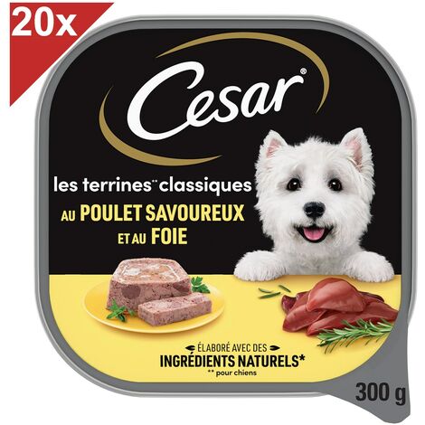 main image of "CESAR Barquette poulet en terrine pour chien (20x300g)"