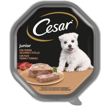 Cesar Cane Junior Tacchino e Vitello 150gr