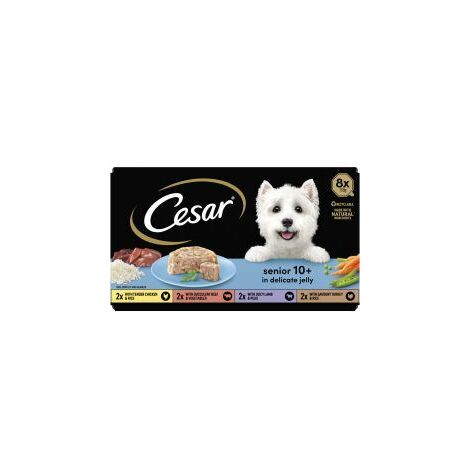 CESAR Senior 10+ in Delicate Jelly 8x150g - 730518