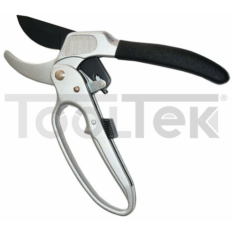 CESOIA FORBICI CRICCHETTO POTA FORBICE POTATURA GIARDINO MAX Ø24mm