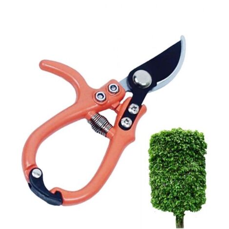 Cesoia Forbici Per Potatura Punta Curva Per Fiori, Cespugli, Tagliapiante 0218