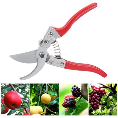 Cesoie per potatura agricola da giardino, rami di alberi da frutta, rifilatura, potatura, utensili manuali, rosso
