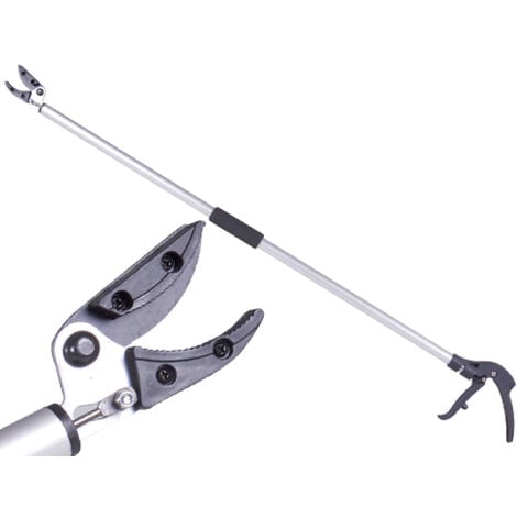 CESOIE TRONCARAMI BRIXO MANICI CM 120