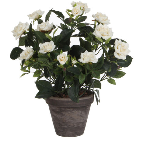 Cespuglio di rose white pvc con vaso grigio