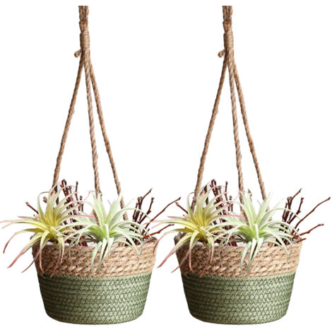 Cesta colgante de flores de 2 piezas para pared (20 cm, verde, material sintético, cuerda de cáñamo) - Decorativa