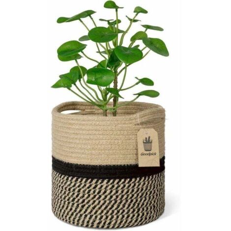 Cesta para flores de cuerda de algodón trenzada de 20 cm, organizador de almacenamiento de 20 cm x 20 cm, decoración moderna para el hogar.