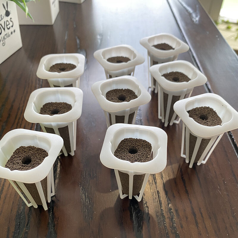 Cestino e spugna di coltura idroponica sul sistema...