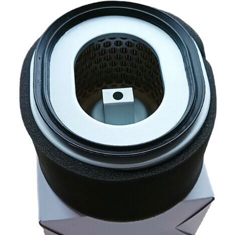 Cet élément filtrant est compatible avec les moteurs Yanmar L100N. Références : 114210-12590 / 114211-12510. Il offre une filtration haute performance.