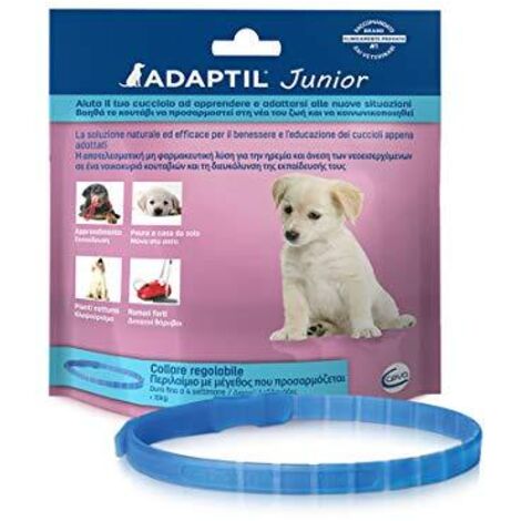 Ceva Dog Adaptil Junior Collare 37 cm  - Ceva Dog Adaptil Junior Collare 37 cm - Confezione da 1 Collare