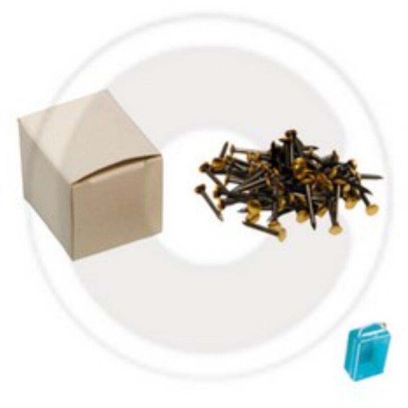 Sc chiodi testa ricop.ottone mm.2x25 (pz.100