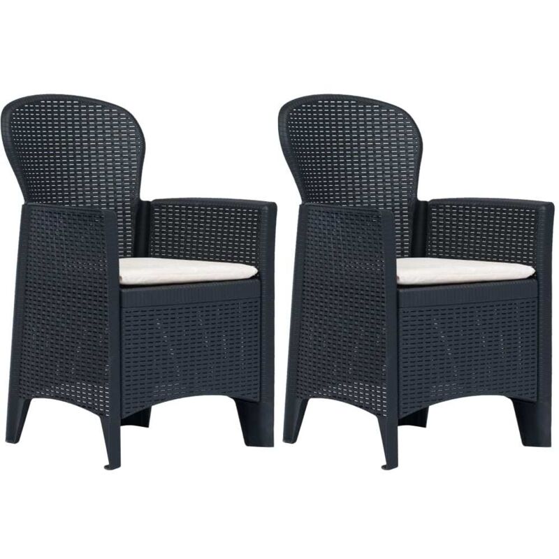 Chaises de jardin lot de 2 avec coussin Anthracite Plastique - Vidaxl
