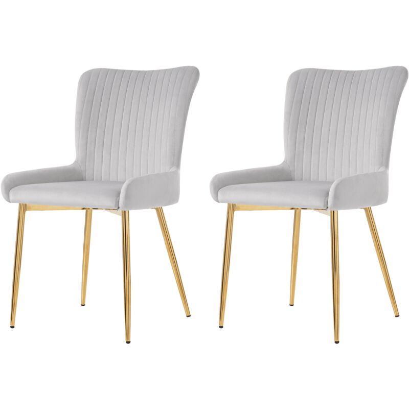 Gutent - Chaise de salle à manger en velours, chaise de salon avec quatre pieds en métal doré, gris-Ensemble de 2