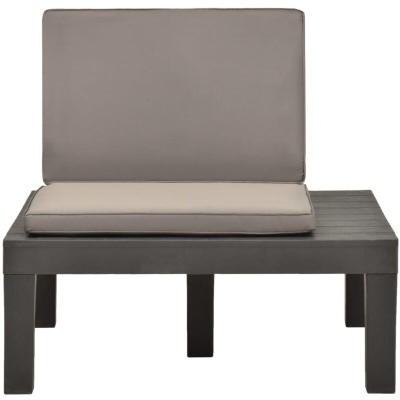 Vidaxl - Chaise de salon de jardin avec coussin Plastique Anthracite