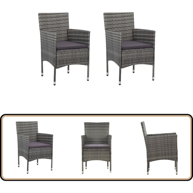 Chaises à manger de jardin lot de 2 Résine tressée Gris - Chaise De Jardin - Fauteuil De Jardin - Mobilier De Jardin - Set De Chaises - Résine Tressée