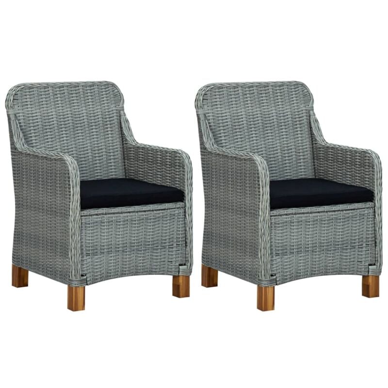 Vidaxl - Chaises de jardin avec coussins lot de 2 Résine tressée
