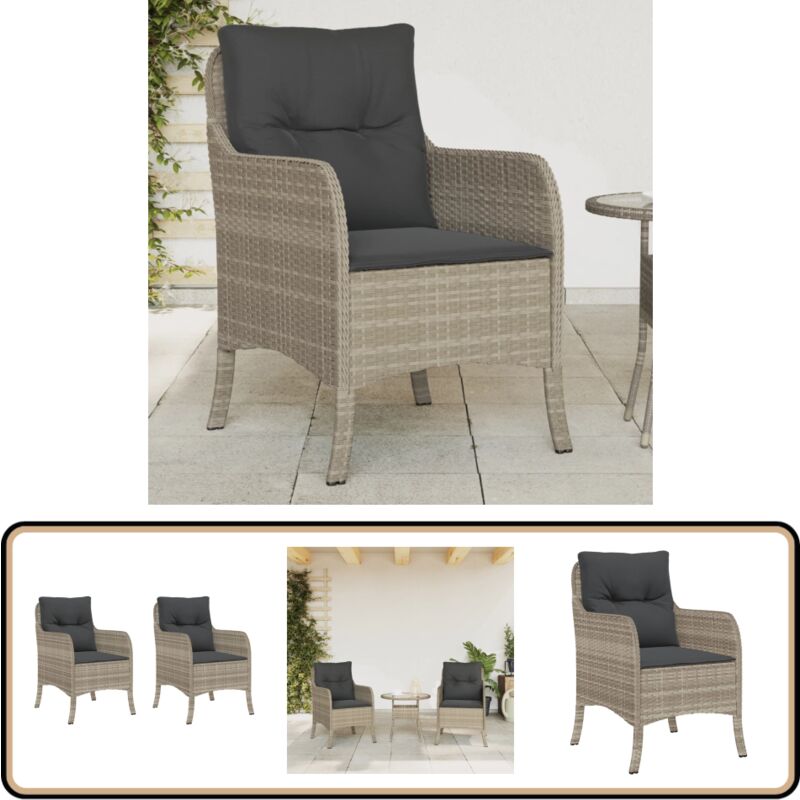 Chaises de jardin coussins lot de 2 gris clair résine tressée - Chaise De Jardin - Fauteuil De Jardin - Mobilier De Jardin - Meubles De Jardin