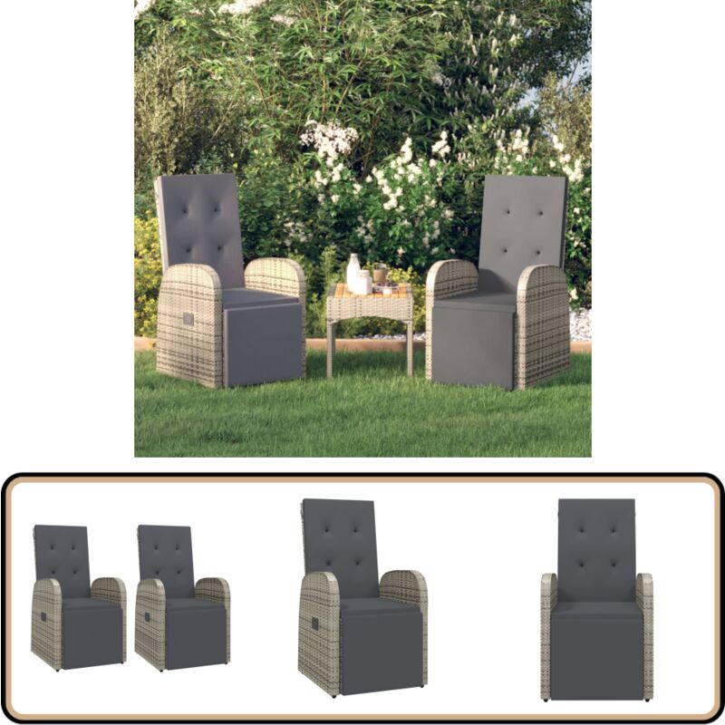 Chaises de jardin inclinables coussins lot de 2 Résine tressée - Chaise De Jardin - Fauteuil De Jardin - Chaise Inclinable - Meubles De Jardin