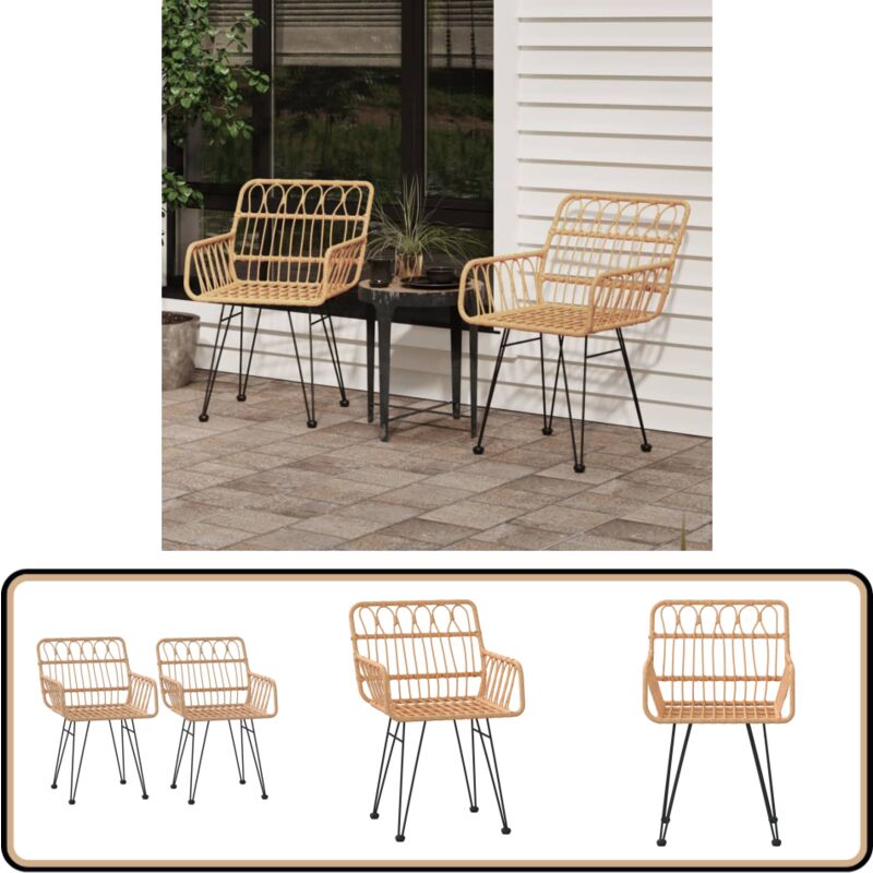 Chaises de jardin lot de 2 accoudoir 56x64x80 cm Résine tressée - Chaise De Jardin - Meubles De Jardin - Salon De Jardin - Fauteuil De Jardin