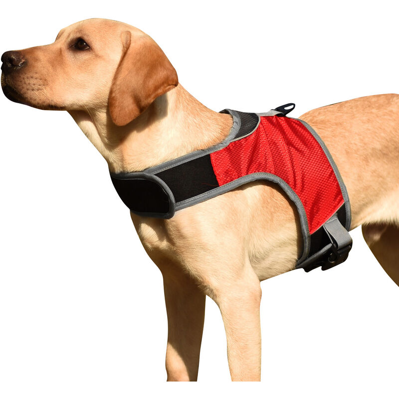 

Chaleco acolchado comodo ajustable reflectante del arnes del perro para perro mediano grande, Rojo, pequeno