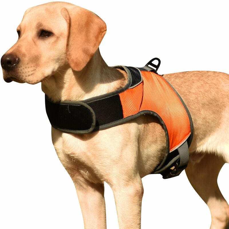Chaleco acolchado comodo ajustable reflectante del Arnés del perro para perro mediano grande,Naranja,XL