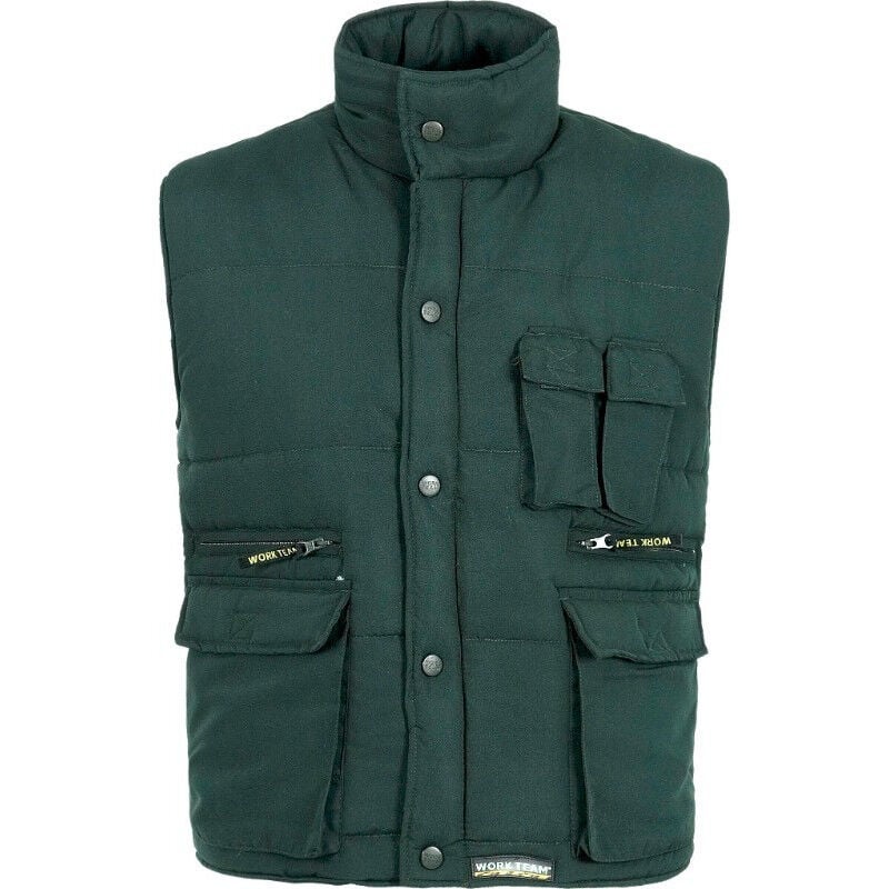 

Chaleco industrial acolchado de cuello alto multibolsillos WORKTEAM S3250 | Verde - L
