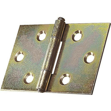 Chaniere large avec vis zingue Lxl : 30x30 mm Emballage 2 pieces