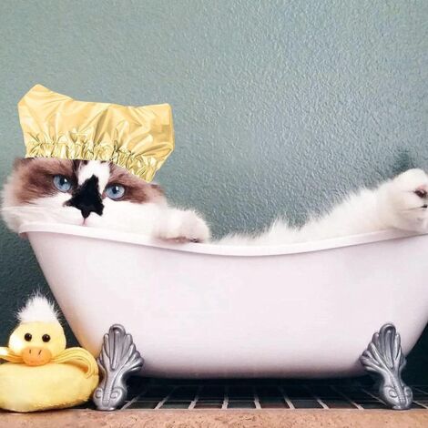 Chapeau de Bain Anti-Infiltration pour Chat et Chien - Lavable en Machine - Bandes Élastiques - Flexible pour Tête de Animal - Pour Pièces Detachées