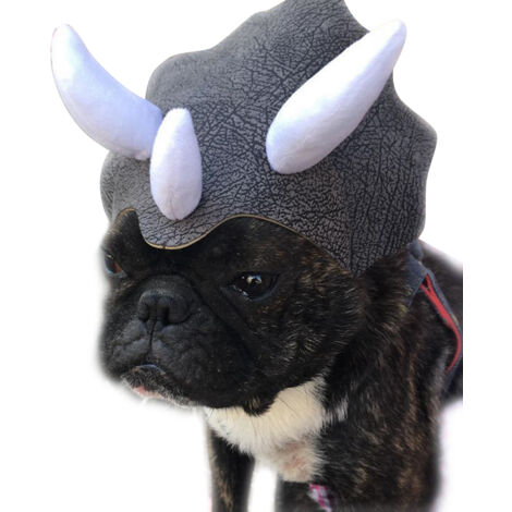 Chapeau Dinosaure pour Chien et Chat, Costume Drôle Fête Déguisement Cosplay Animaux avec Cornes Mignonnes
