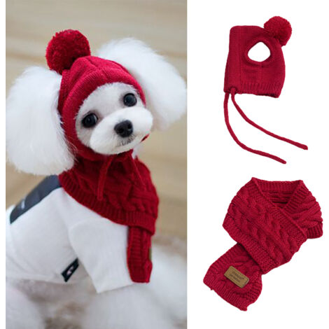 Chapeau et Écharpe d'Hiver pour Chien - Ensemble Chaud et Drôle pour Costume et Accessoires Chiots