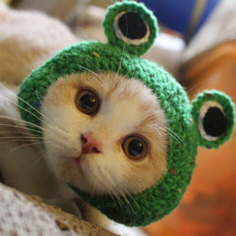 Chapeau pour Animaux de Compagnie - Chapeau pour Chien et Chat Tricoté à la Main en Laine, Idéal pour Chiot, Ourson, Grenouille, Accessoires de Toilettage, Vert, Taille S