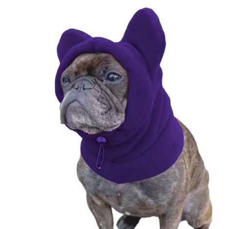 Chapeau pour Chien d'hiver,Bonnet pour Chien Bonnet Chaud Respirant pour Temps Froid Camping Randonnée Festival Accessoire de Déguisement