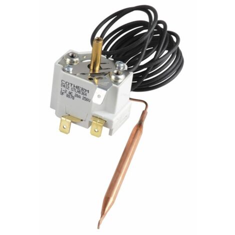 Chappee – Thermostat TXA4C018 30/90°C – Régulation précise de température – Pour chauffe-eau – Installation par professionnel recommandée - S17007004