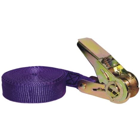 CHAPUIS - Sangle polyprolène tendeur cliquet 25mm 5m 80kg uc1