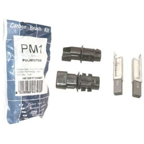 Charbon Moteur Pm Jeu De 2 481931088019 Pour LAVE LINGE