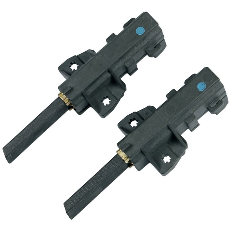 Charbons moteur (x2) d'origine