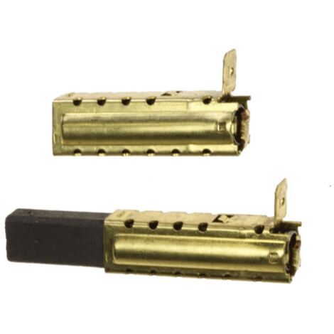 Charbon moteur x2 pour Aspirateur KARCHER 66102040