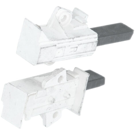 Charbons moteur(x2)