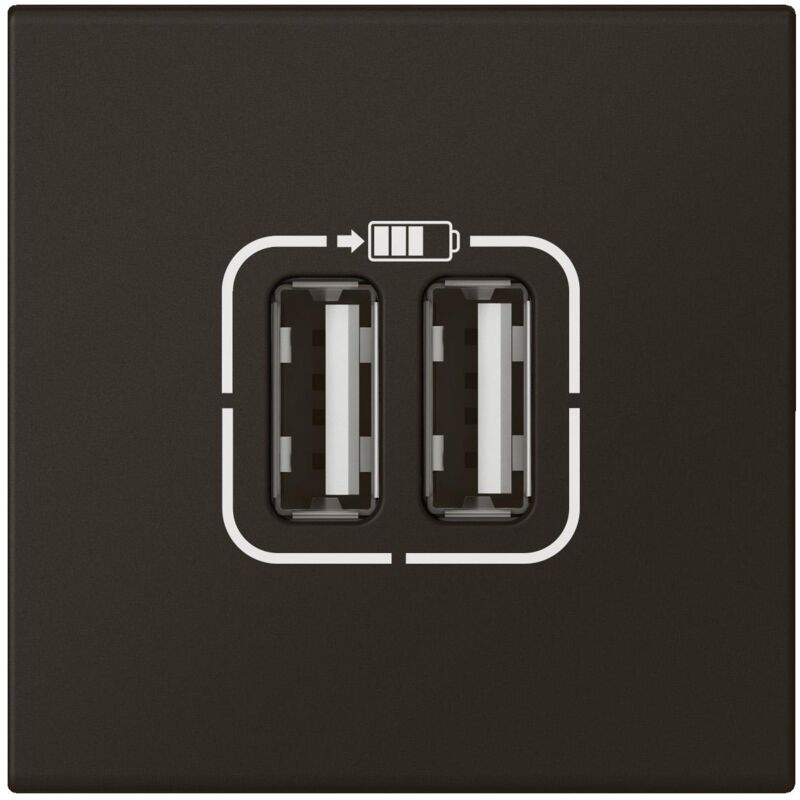 Legrand - Chargeur 2 usb Type-A 2,4A 5V 12W Mosaic 2 modules 230V noir mat 079194L