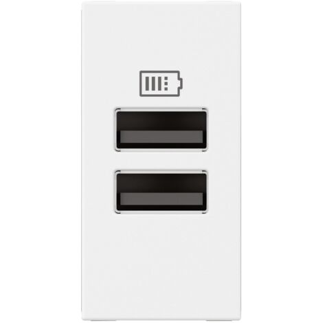 Chargeur 2 USB Type-A Mosaic 2 modules blanc pour support LCM LEGRAND 077660L
