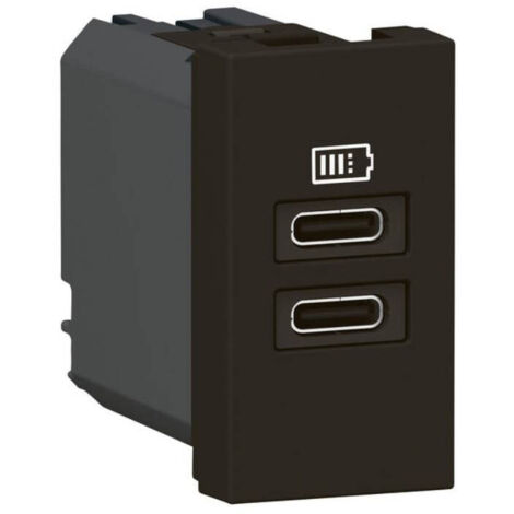 Chargeur 2 USB Type-C Mosaic - 2 modules noir pour support LCM (077682L)