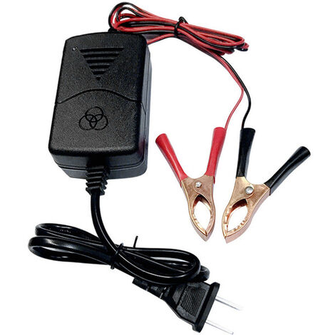 Chargeur automatique de batterie Automobile 12V, pour voiture, camion, moto,France,US