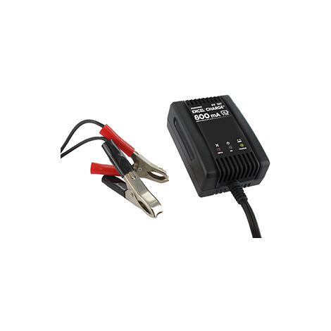 Chargeur Automatique Excel' Charge Pour Batteries De 3a - 39a Plomb/acide De 6v Et 12v 800ma, Conventionnelles, Sans Entretien O