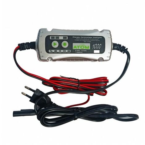 Chargeur Automatique Intelligent ACEDIS Atom 1000 - 6V 12V 1A, pour batteries plomb étanche GEL AGM stationnaires
