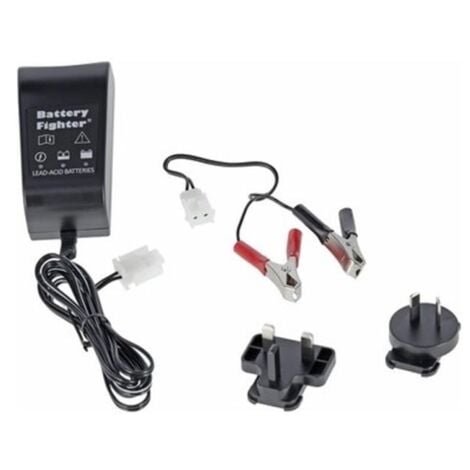 CASTELGARDEN Chargeur batterie autoportée 12V - 200mAh GGP - 1134-9250-01