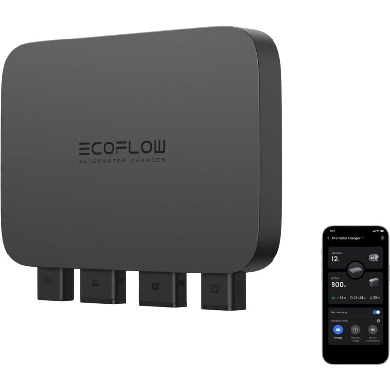 Ecoflow - Chargeur d'alternateur 800 w, Chargeur Rapide et Polyvalent 3 en 1, mainteneur de Batterie et démarreur de Secours,Installation Facile,