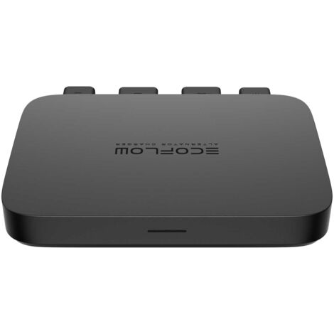 ECO FLOW Chargeur d'alternateur EcoFlow 800W – Recharge rapide et fiable pour batteries et onduleurs portables – Compact, compatible et performant