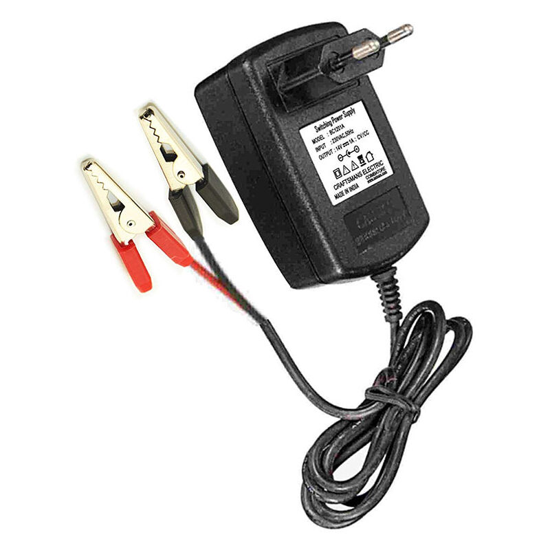 Chargeur De Batterie 12v 4ah 4131996esp Pastormatic